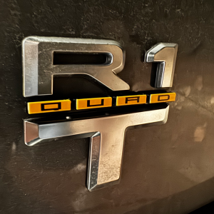 Rivian Badge Line Replacement